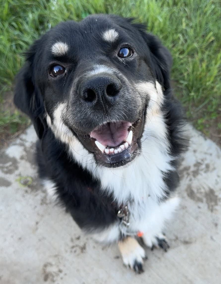 Ruby